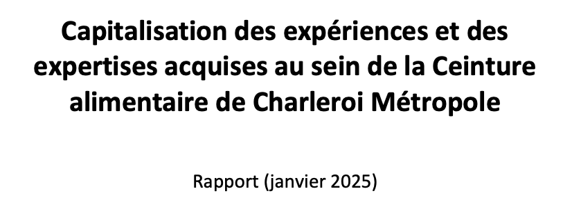 capitalisation experiences