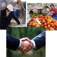 05 La vie économique